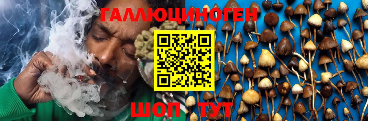 Галлюциногенные грибы мицелий  Псилоцибиновые грибы Magic Shrooms  Губкинский  Вход с VPN 