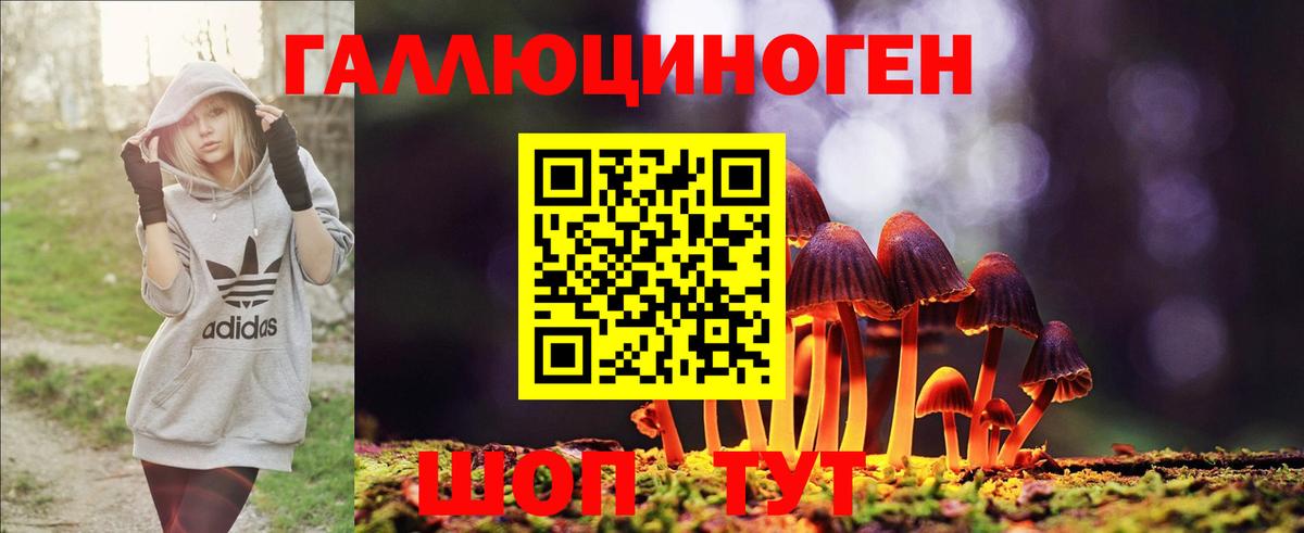 Галлюциногенные грибы MAGIC MUSHROOMS Губкинский